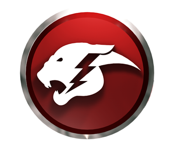Cheetah Stun Gun logo
